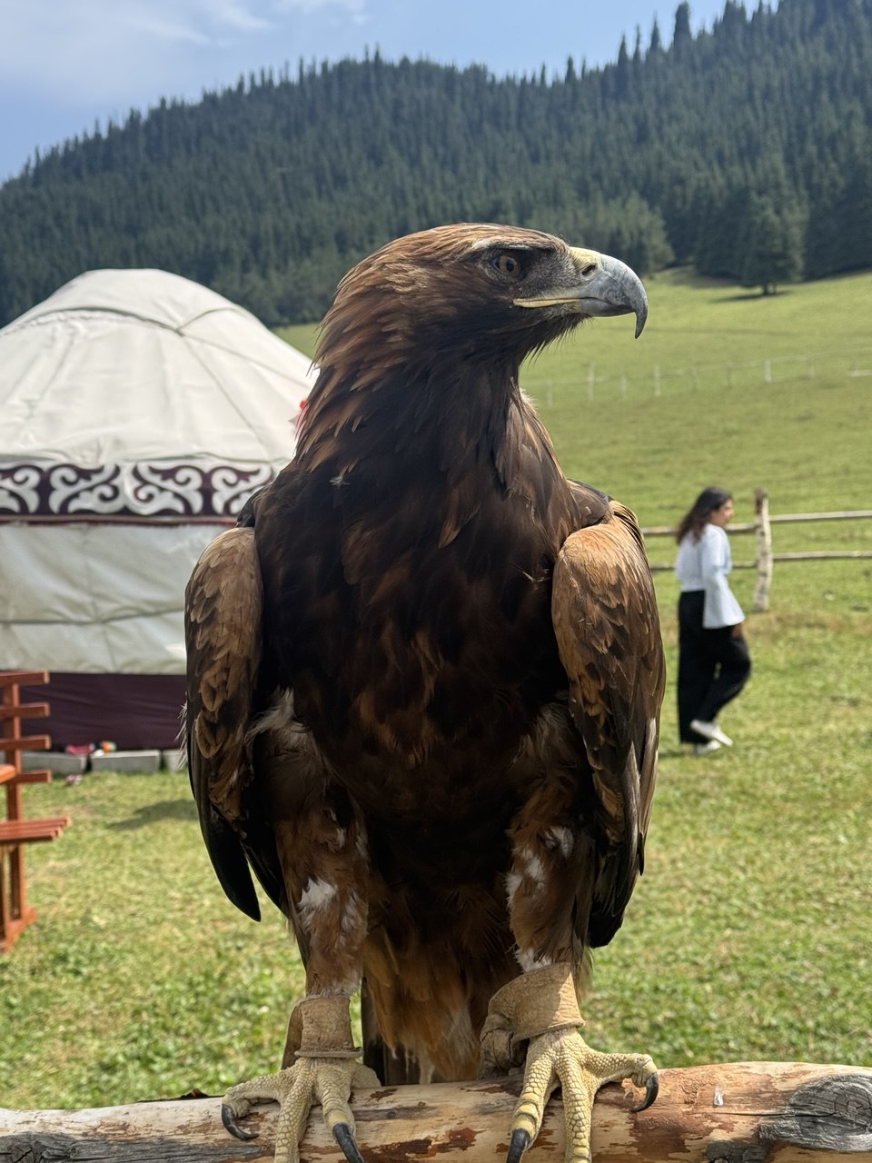 Уникальная природа Кыргызстана